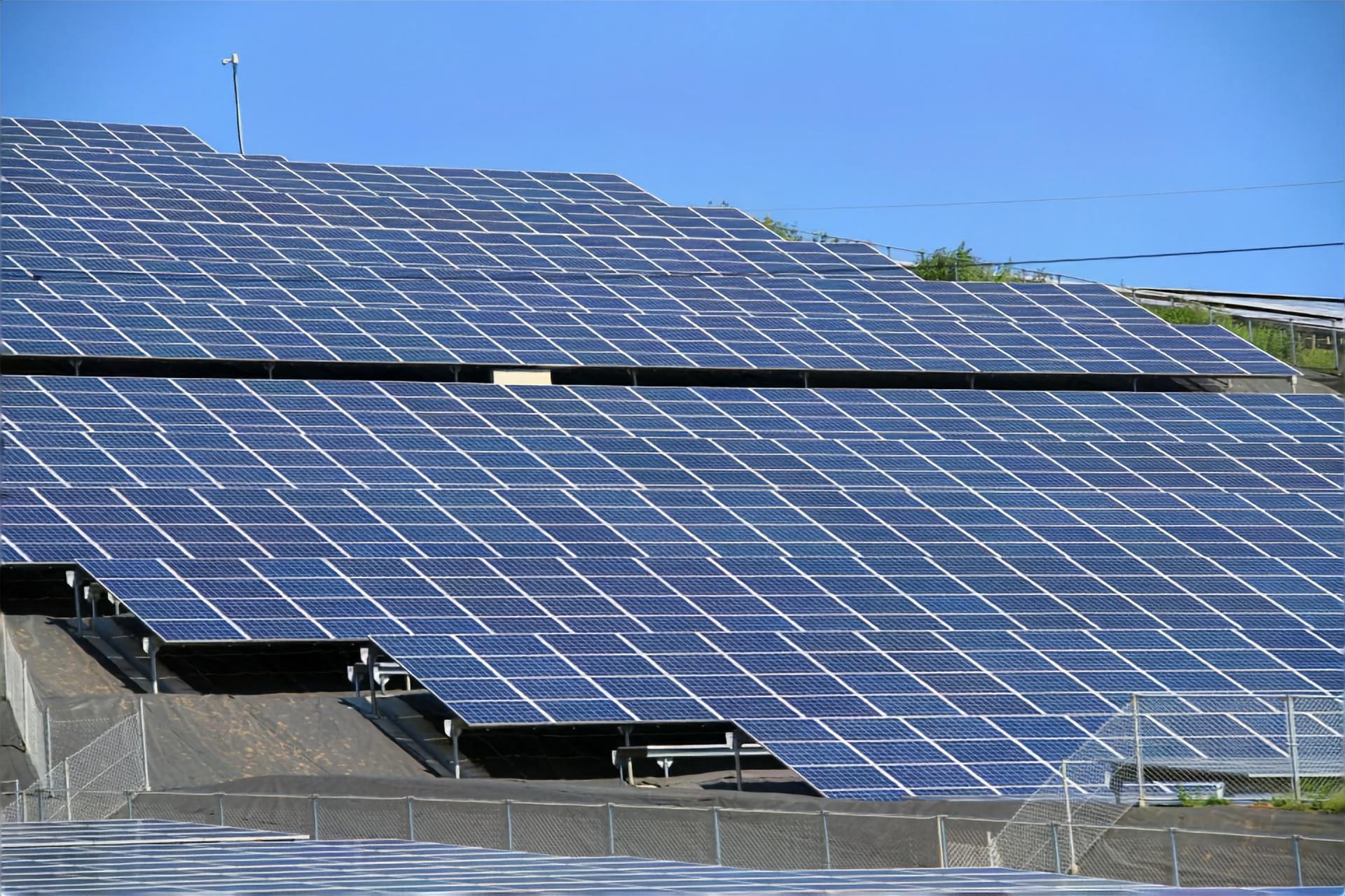 太陽光発電所の伐木 | 和歌山の農機具なら株式会社伐屋