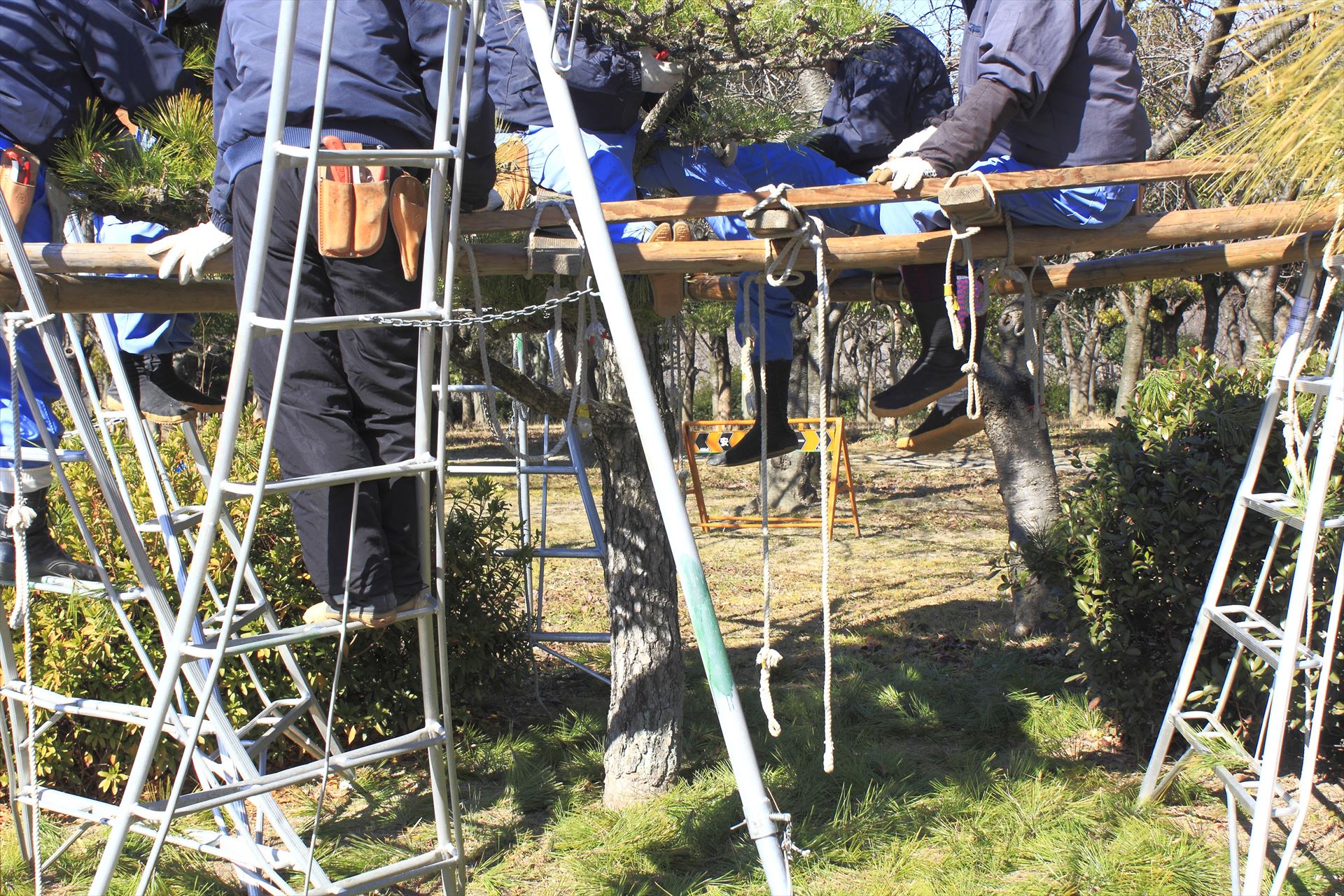 業者選び | 和歌山の農機具なら株式会社伐屋